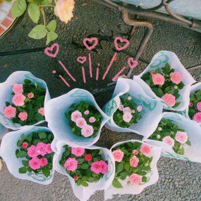 ag真人国际官网下载手机版